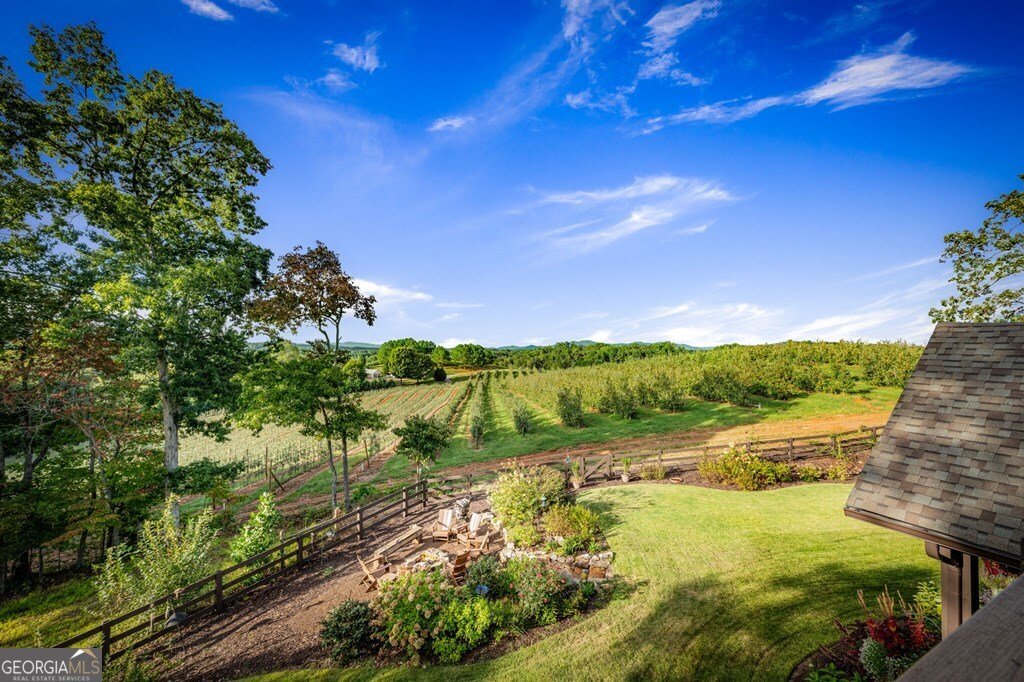 1241 Scenic Drive Blue Ridge - Photo 41