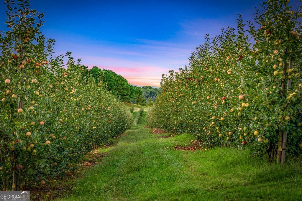 1241 Scenic Drive Blue Ridge - Photo 76