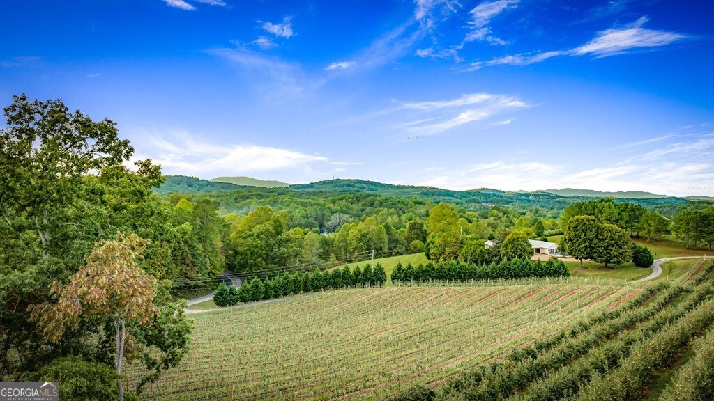 1241 Scenic Drive Blue Ridge - Photo 78