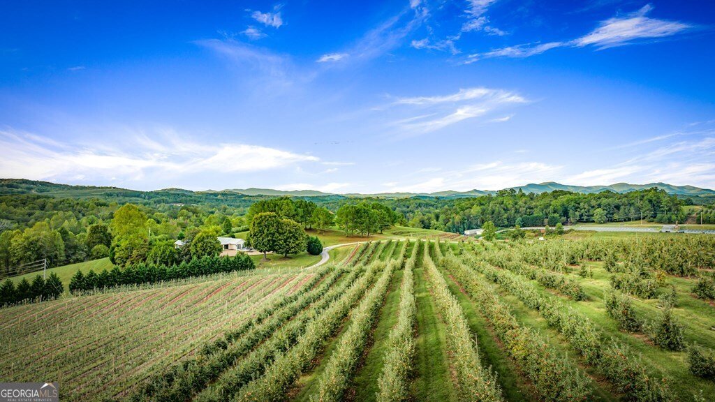 1241 Scenic Drive Blue Ridge - Photo 79