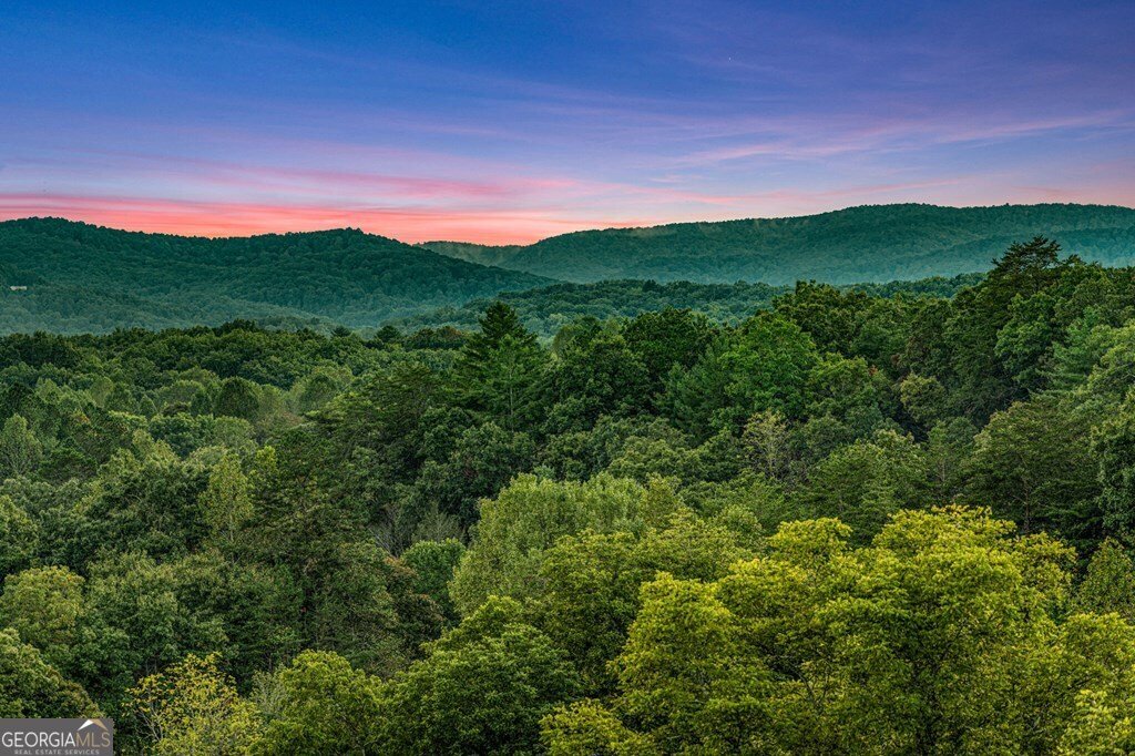 1241 Scenic Drive Blue Ridge - Photo 82