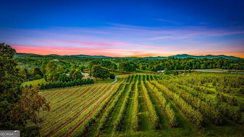 1241 Scenic Drive Blue Ridge - Photo 83