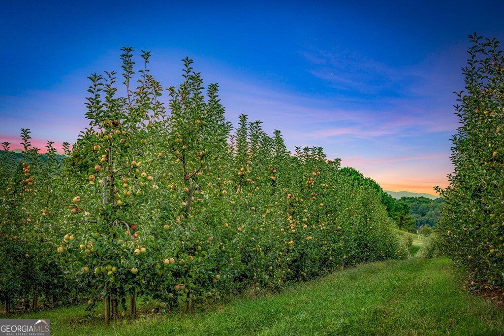 1241 Scenic Drive Blue Ridge - Photo 95