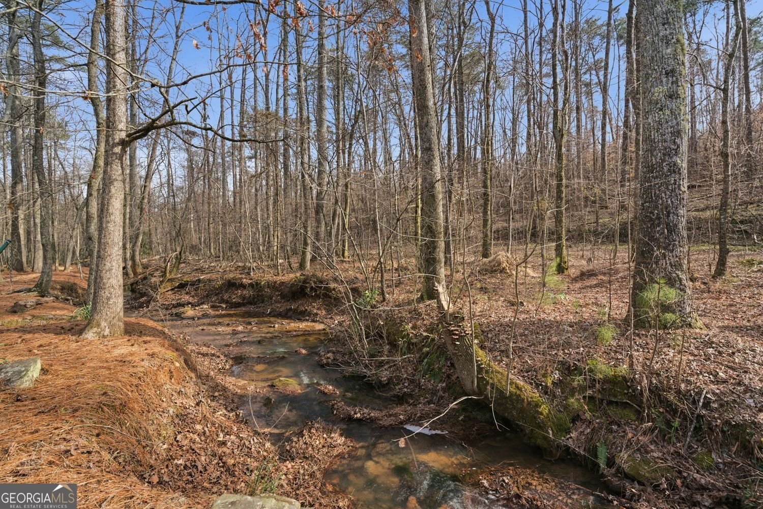 1495 Camden Cove Drive Cumming - Photo 48