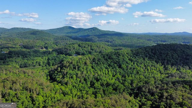 20 River Rock Road Ellijay - Photo 15