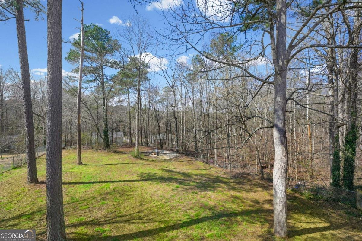 1751 Jefferson Lane Douglasville - Photo 32