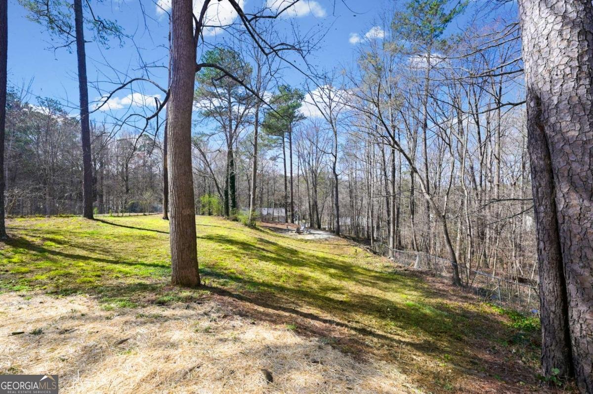 1751 Jefferson Lane Douglasville - Photo 33