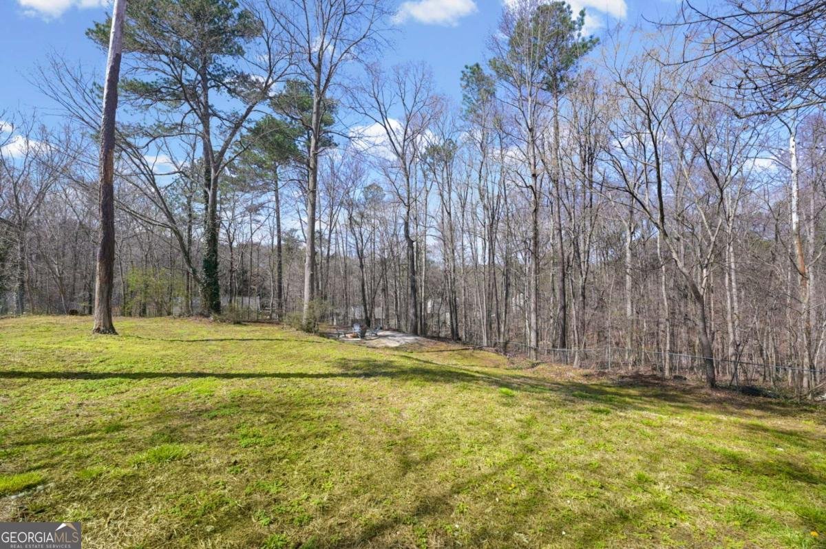 1751 Jefferson Lane Douglasville - Photo 34