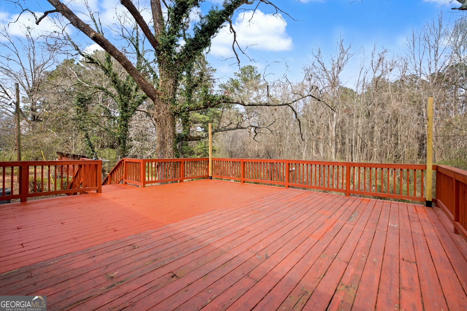 223 Standing Rock Road Senoia - Photo 13