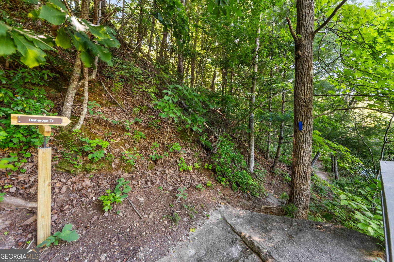 180 Choctaw Ridge Jasper - Photo 46