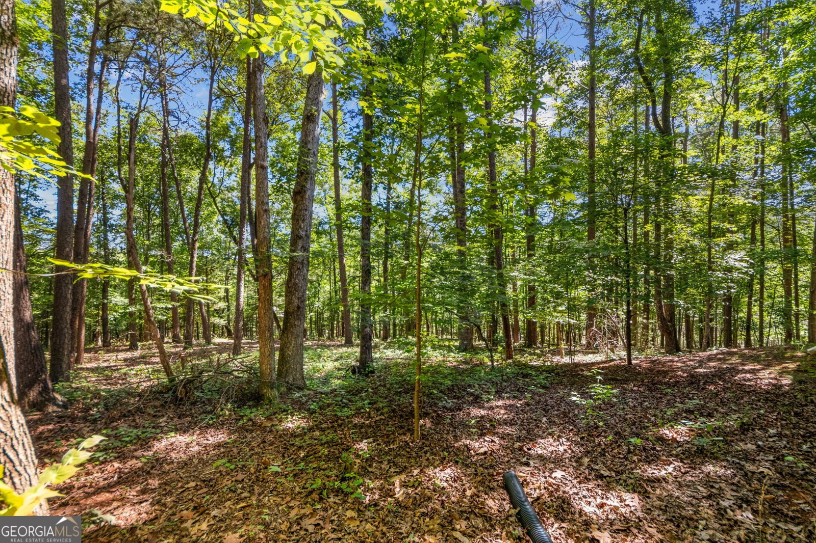 180 Choctaw Ridge Jasper - Photo 56