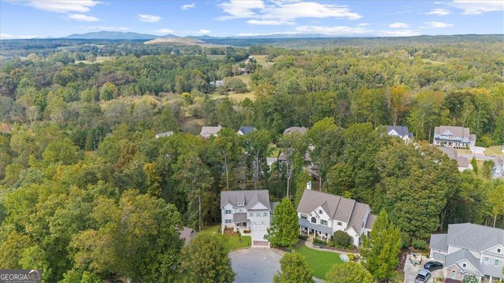 8800 Mica Creek Ball Ground - Photo 33