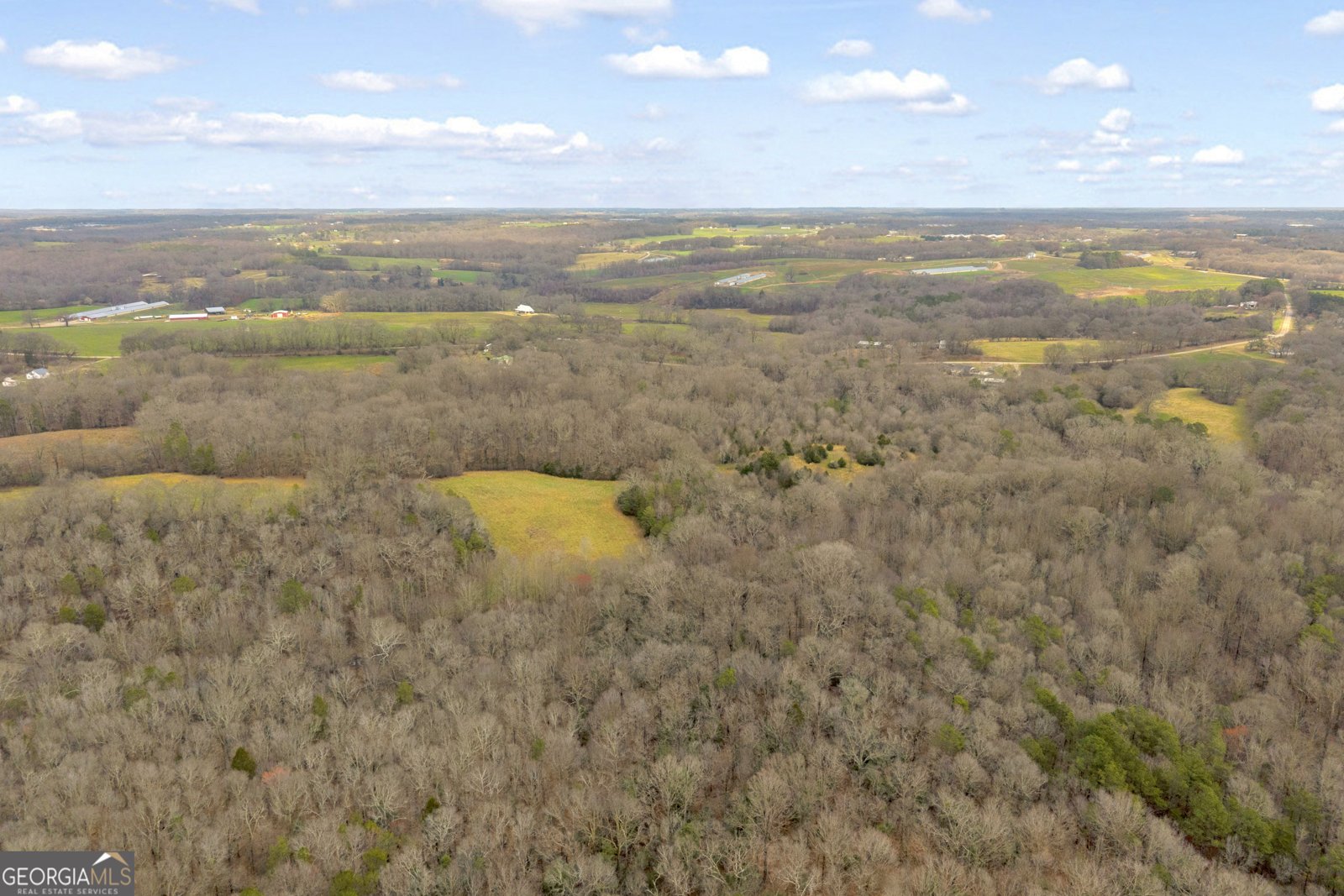 787 Parham Town Road Bowman - Photo 10