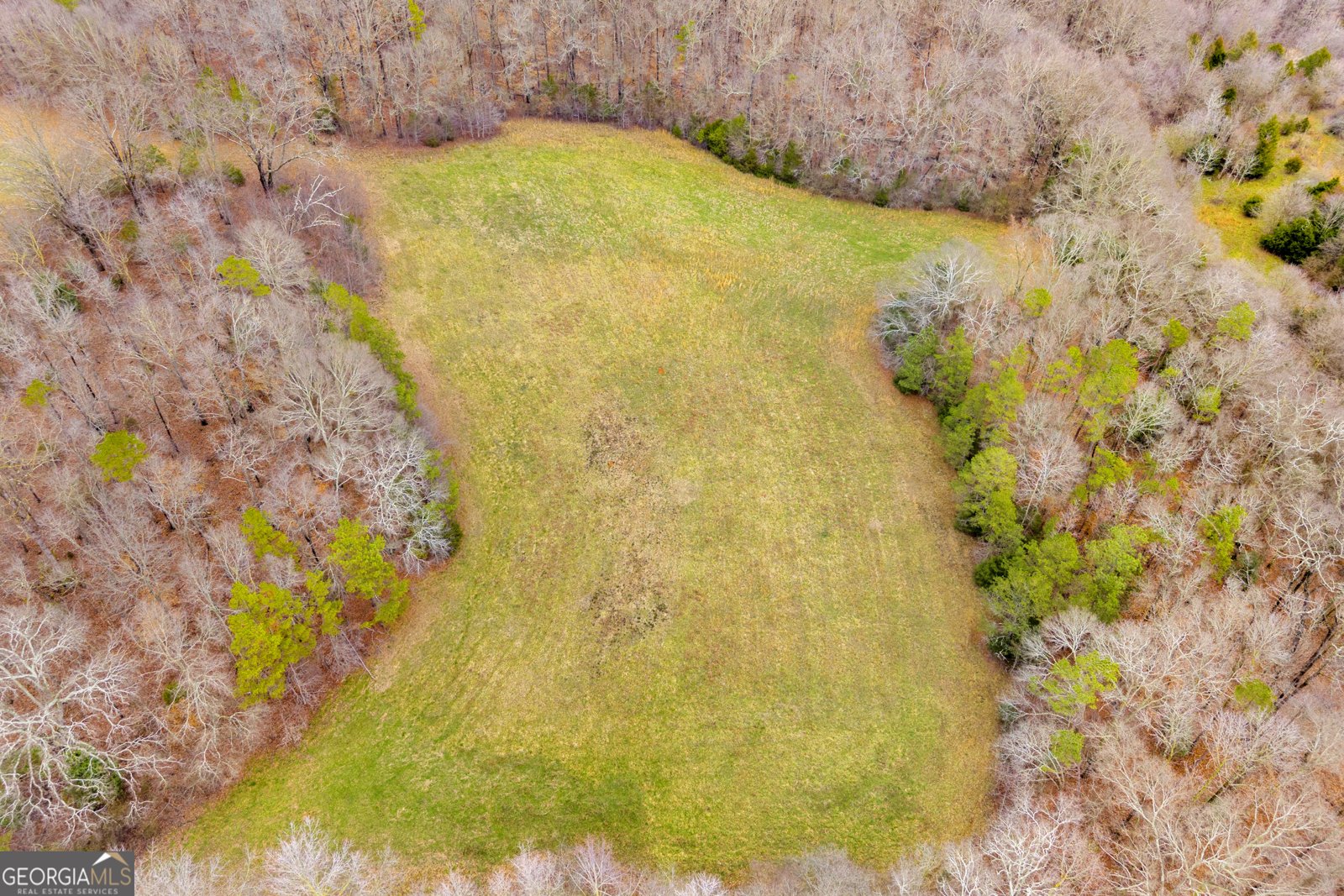 787 Parham Town Road Bowman - Photo 12