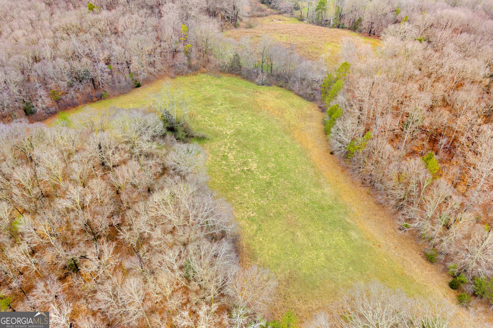 787 Parham Town Road Bowman - Photo 13