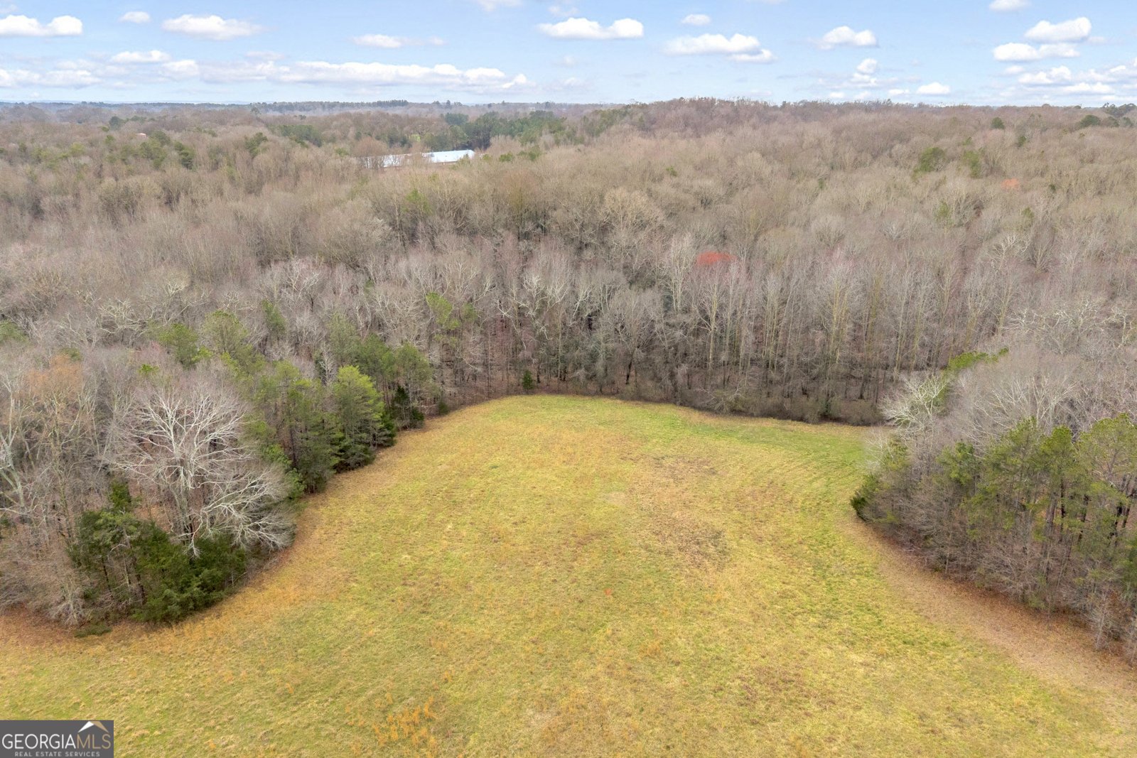 787 Parham Town Road Bowman - Photo 14