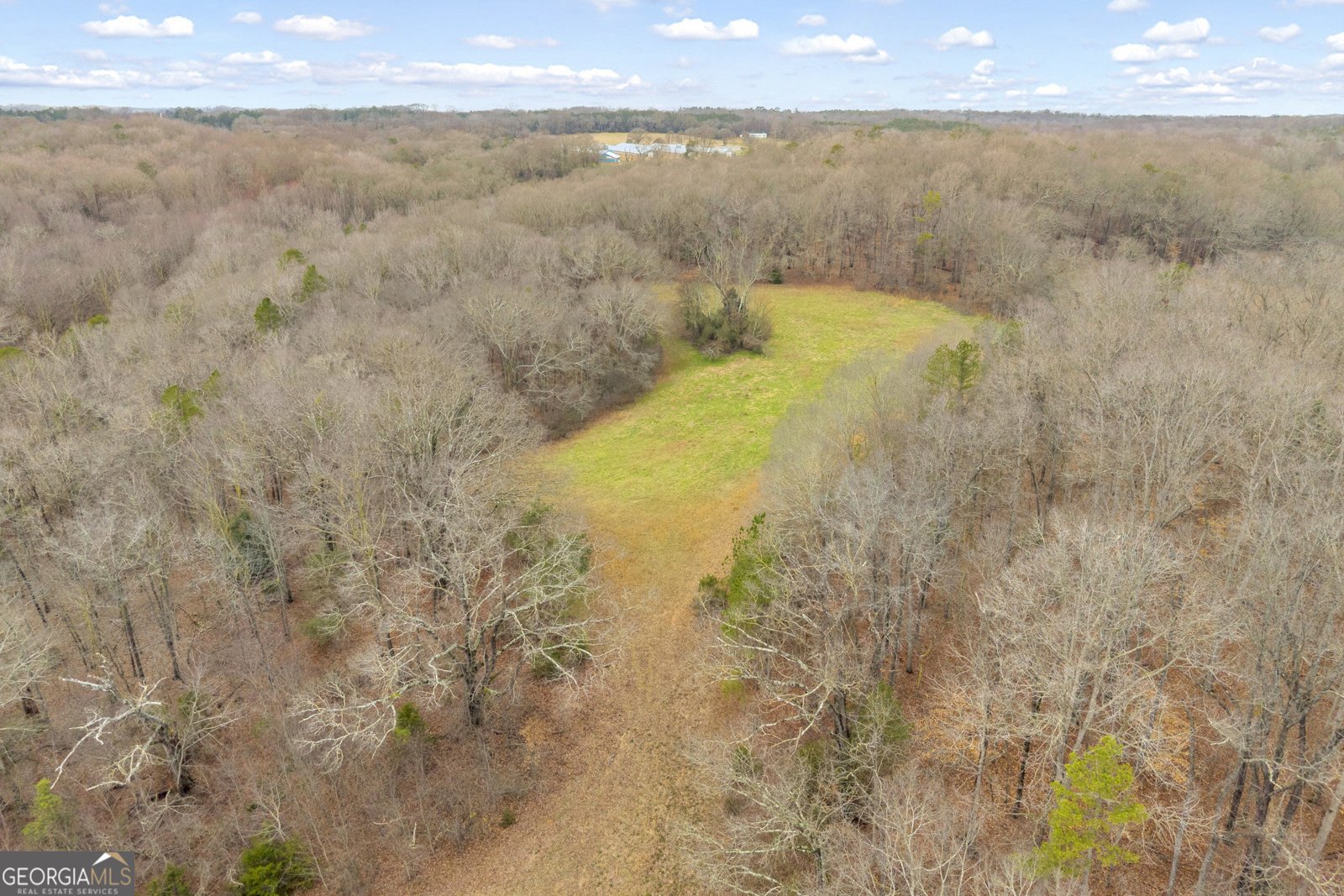 787 Parham Town Road Bowman - Photo 15