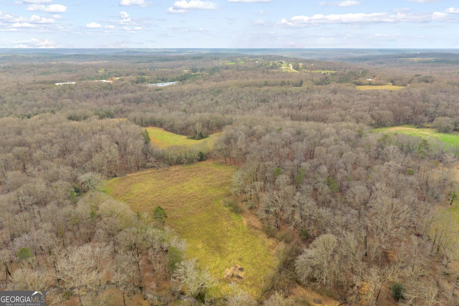 787 Parham Town Road Bowman - Photo 16