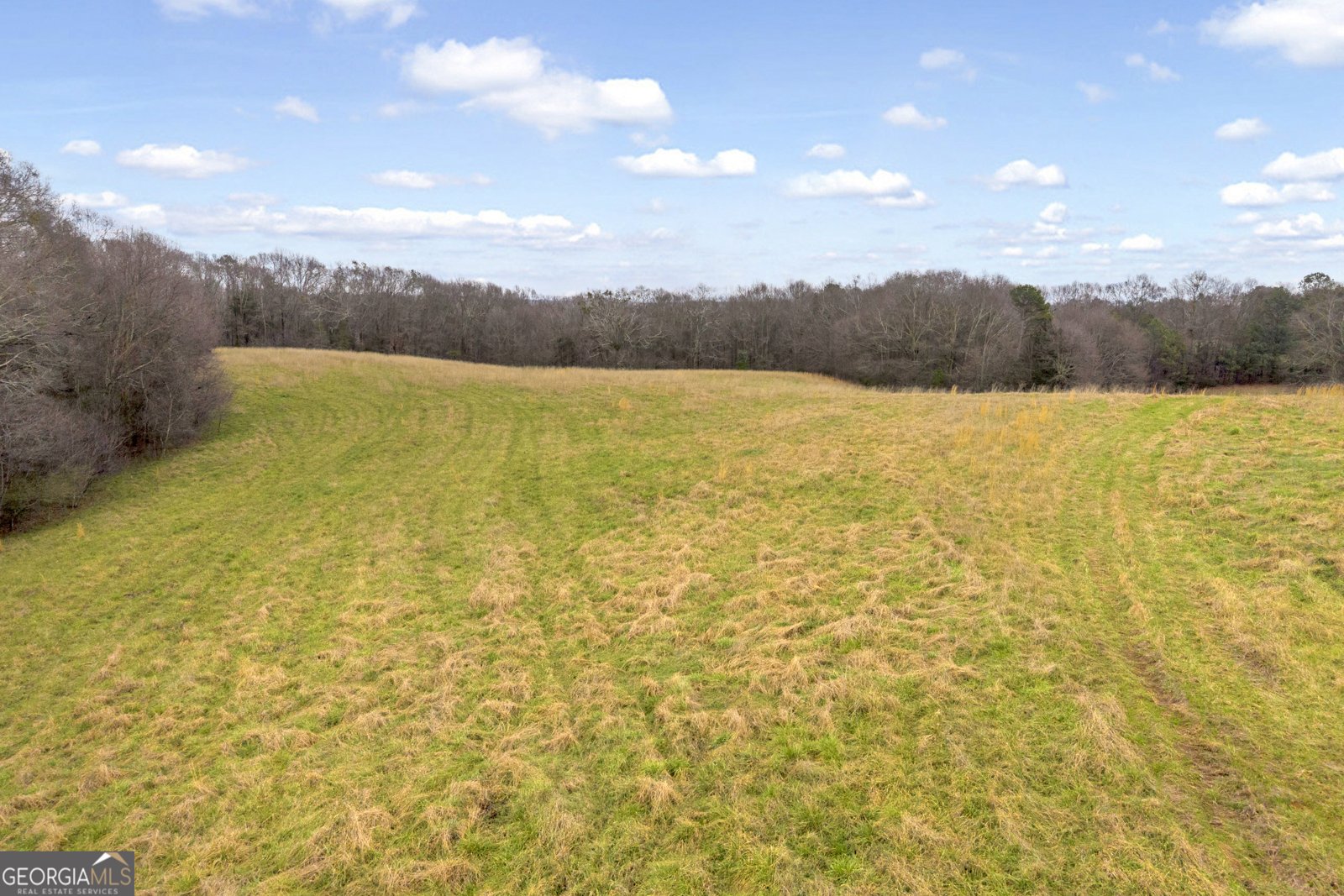 787 Parham Town Road Bowman - Photo 21