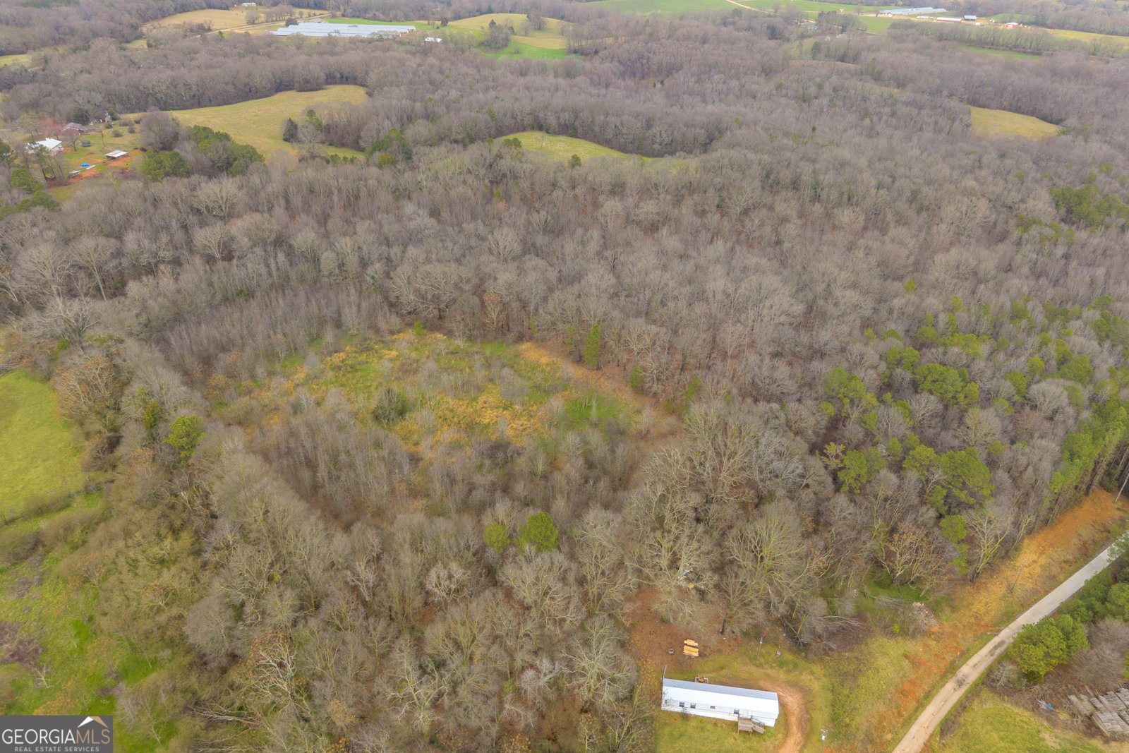 787 Parham Town Road Bowman - Photo 6