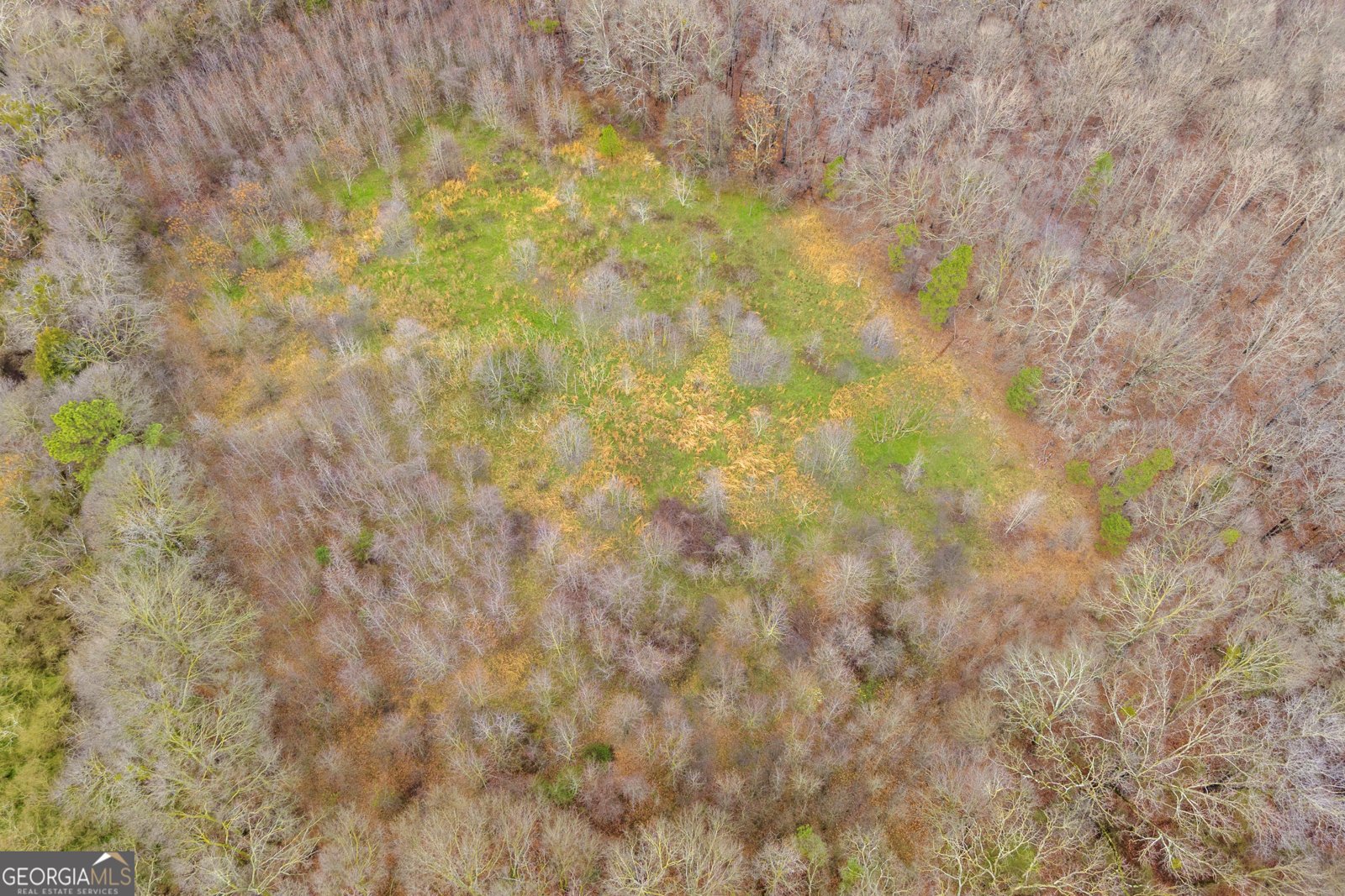 787 Parham Town Road Bowman - Photo 7