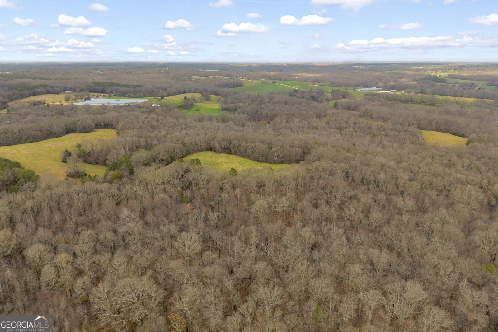 787 Parham Town Road Bowman - Photo 8