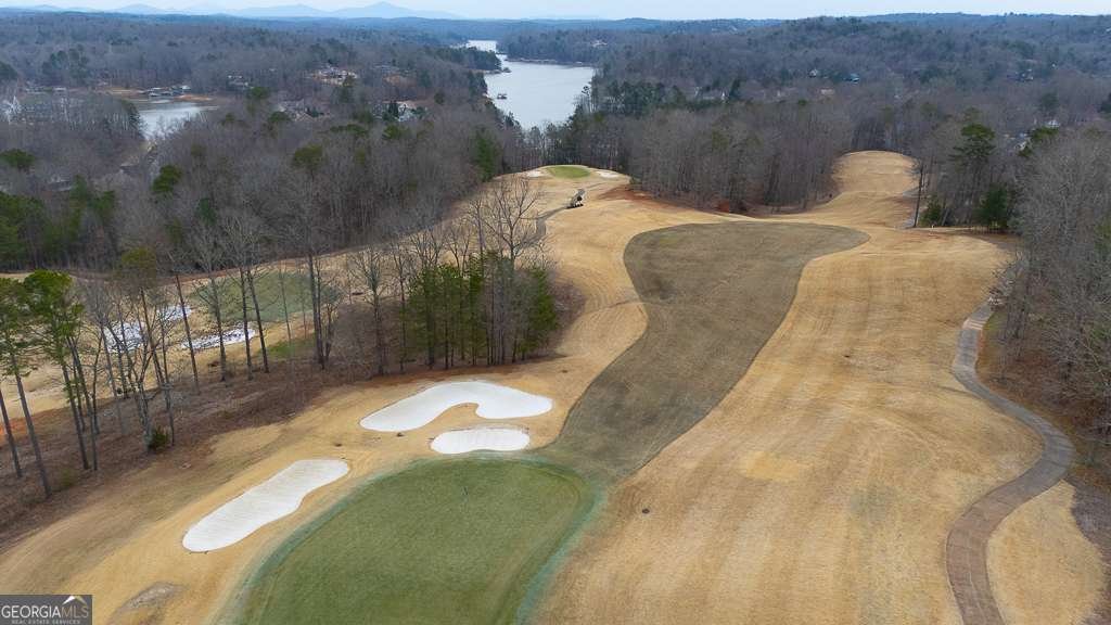 129 Blue Heron Bluff Dawsonville - Photo 52