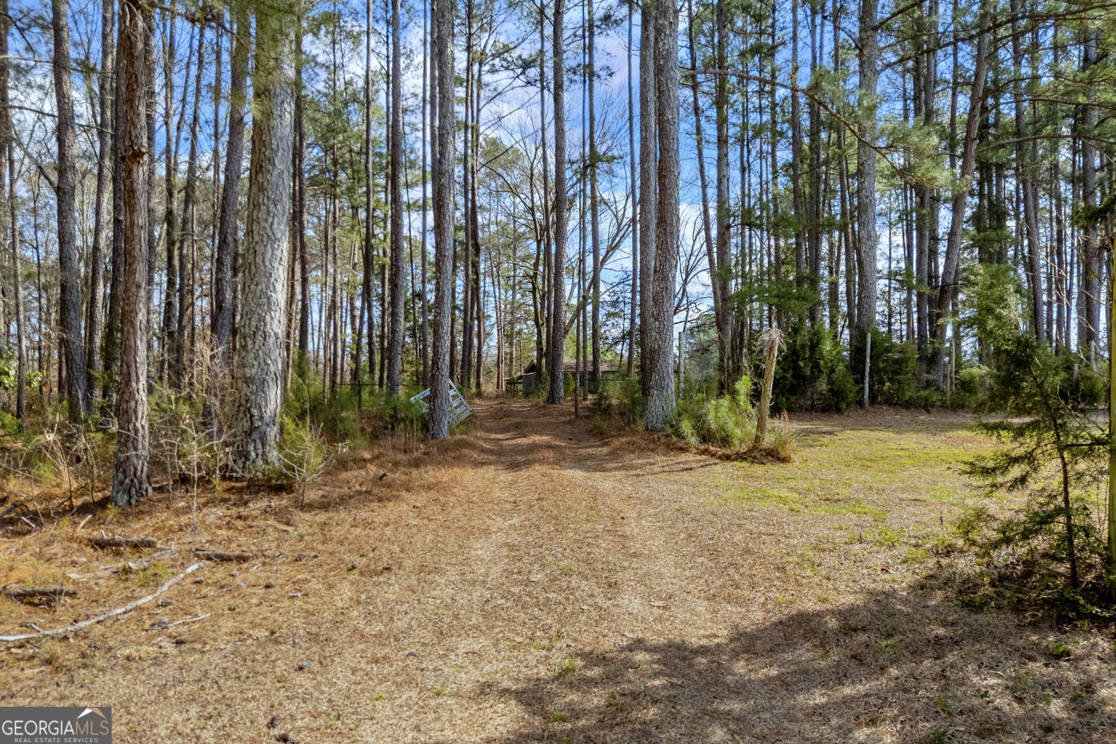 2424 Anderson Hwy Elberton - Photo 29