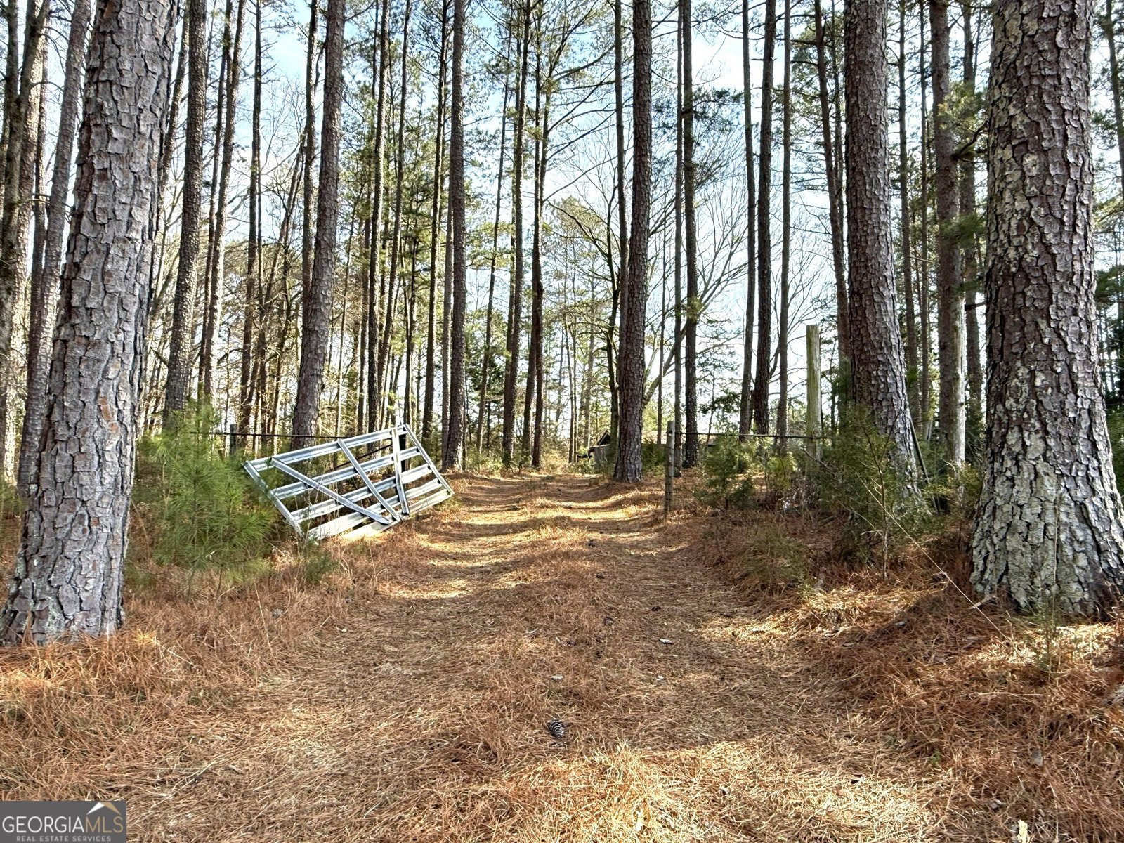 2424 Anderson Hwy Elberton - Photo 41