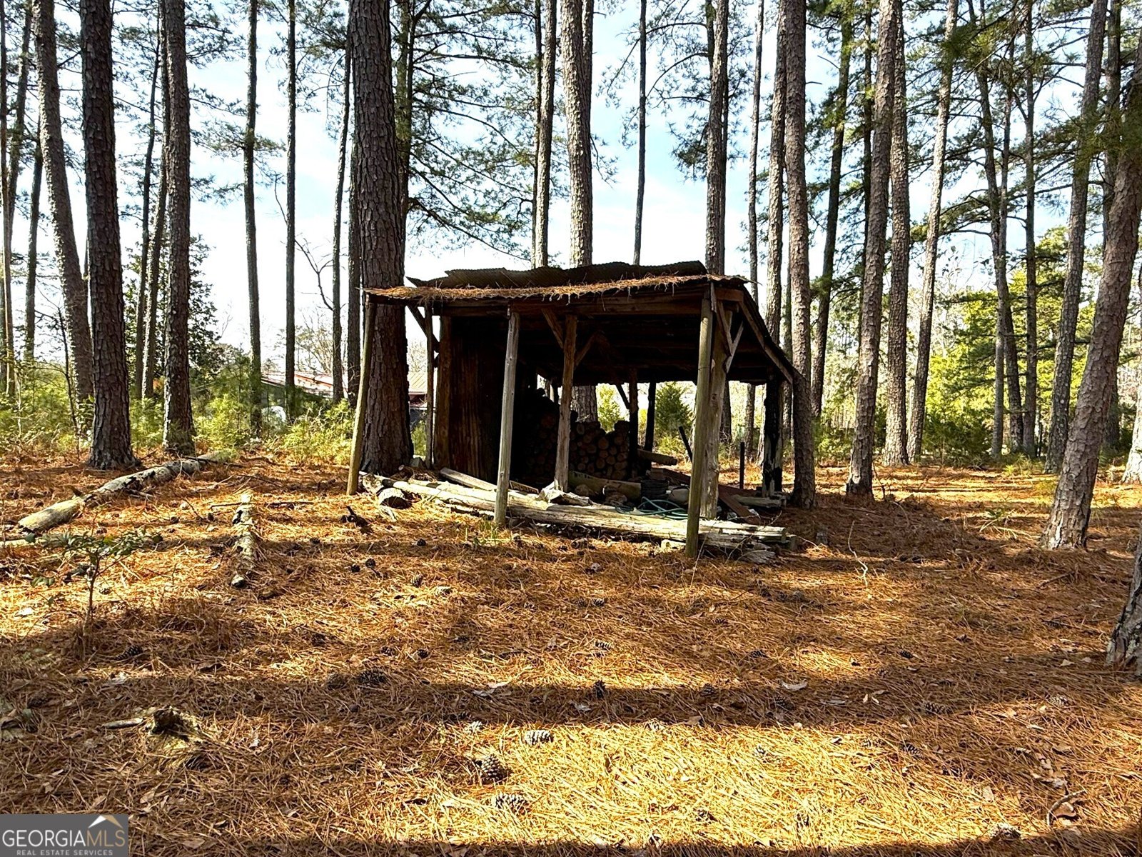 2424 Anderson Hwy Elberton - Photo 42