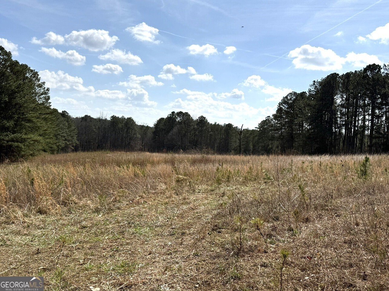 2424 Anderson Hwy Elberton - Photo 44