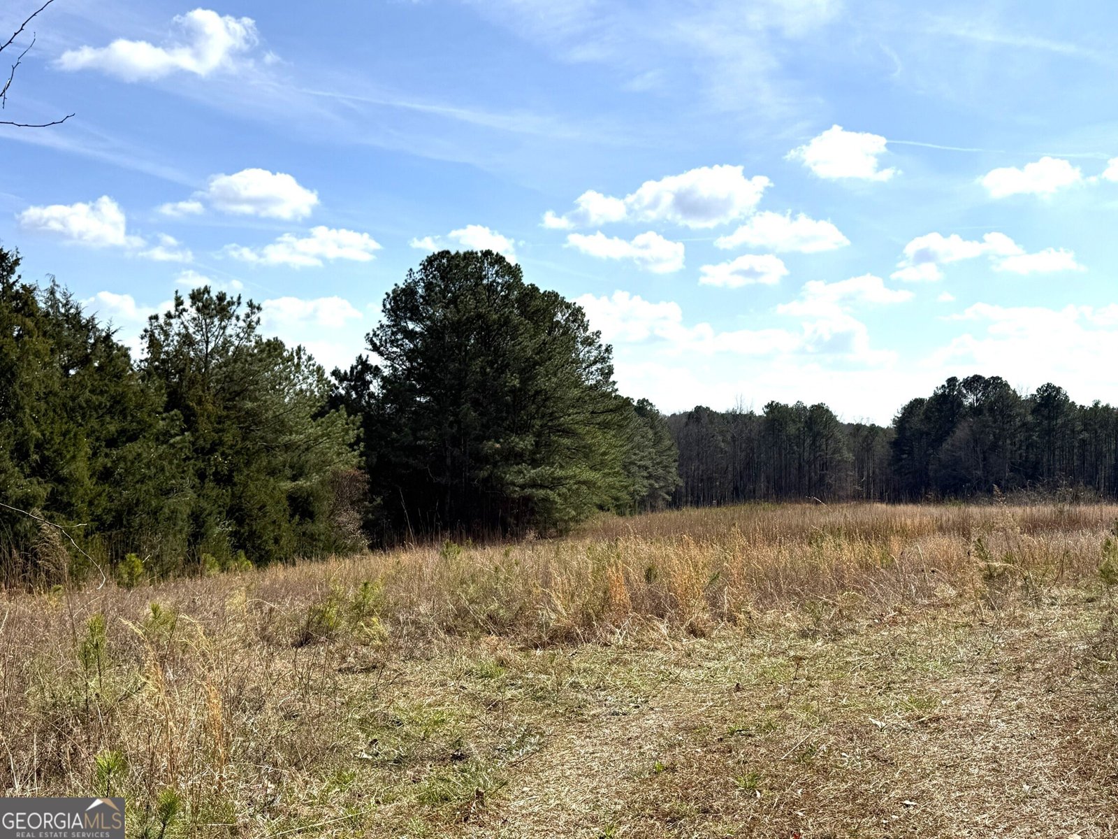 2424 Anderson Hwy Elberton - Photo 45