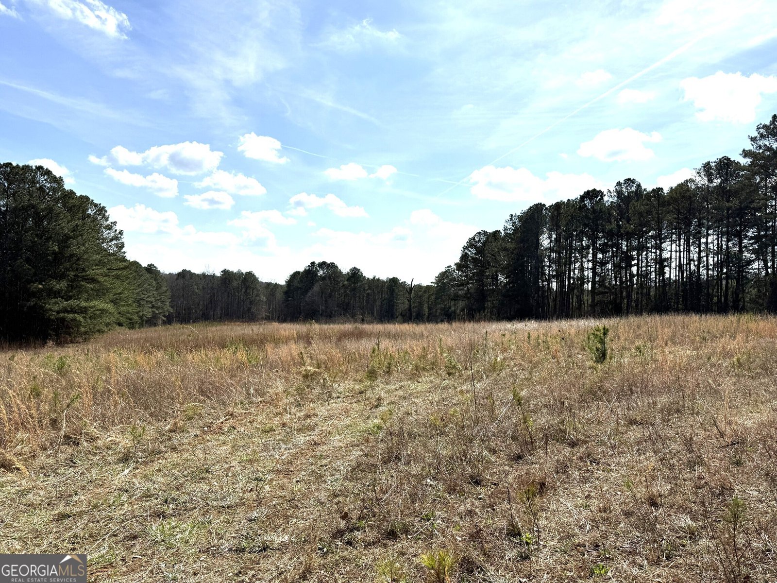 2424 Anderson Hwy Elberton - Photo 47
