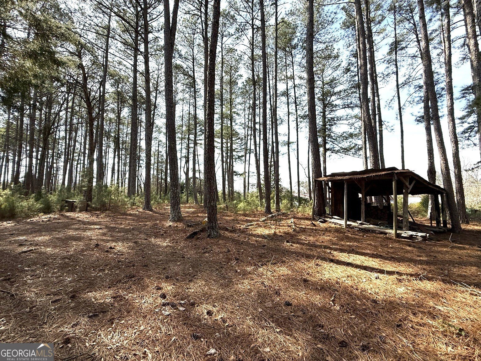 2424 Anderson Hwy Elberton - Photo 50