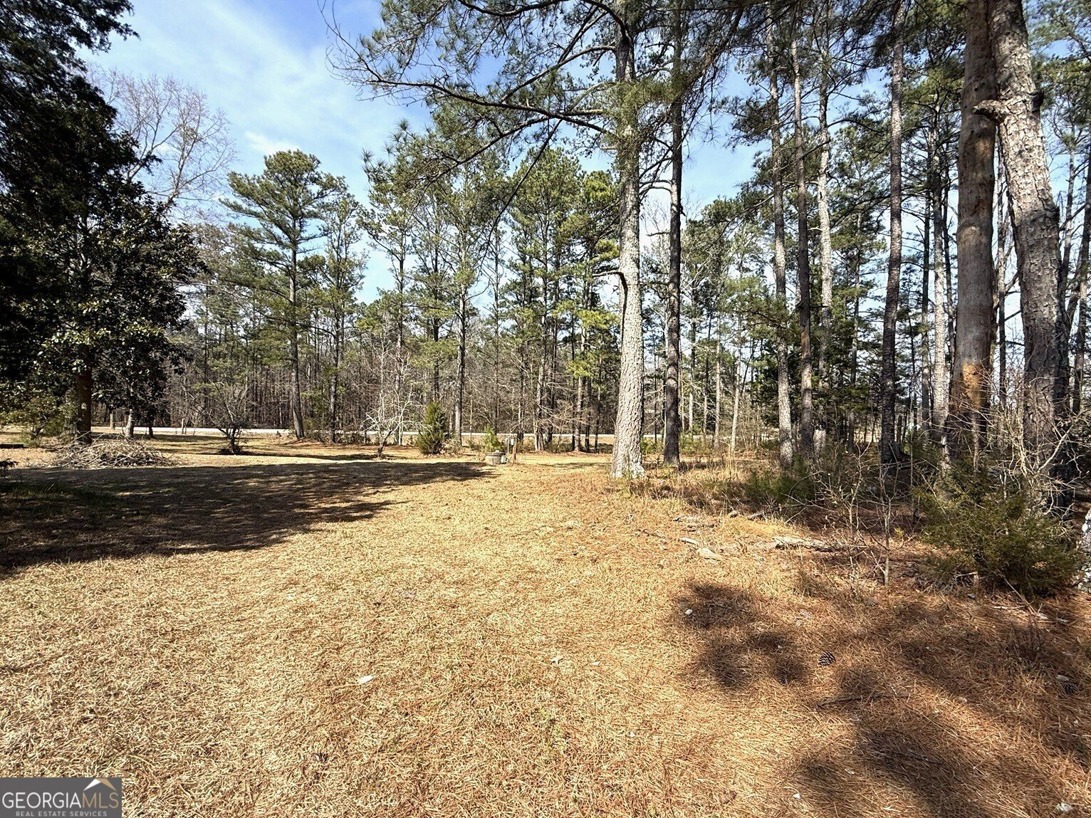 2424 Anderson Hwy Elberton - Photo 52