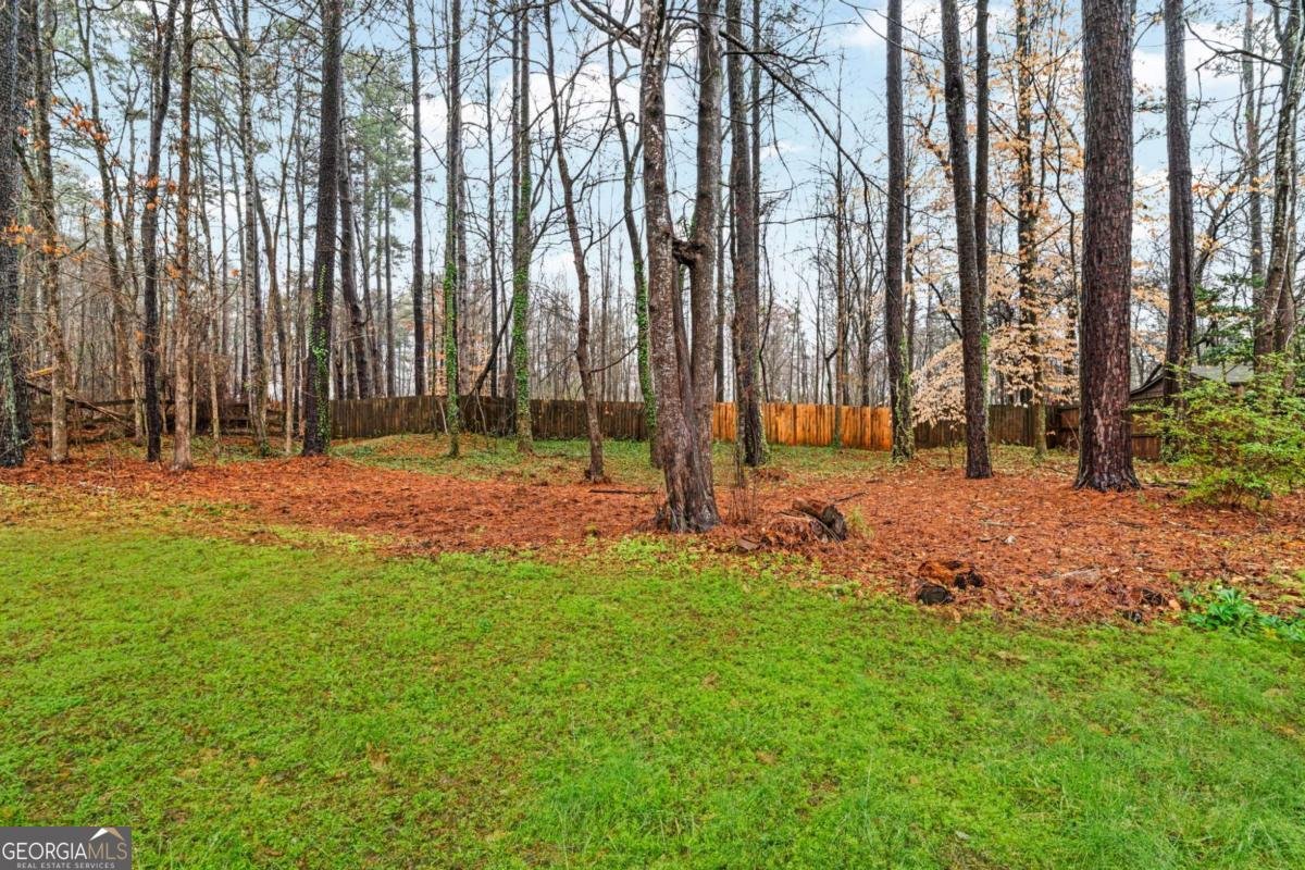 389 Fox Ridge Court Dallas - Photo 41