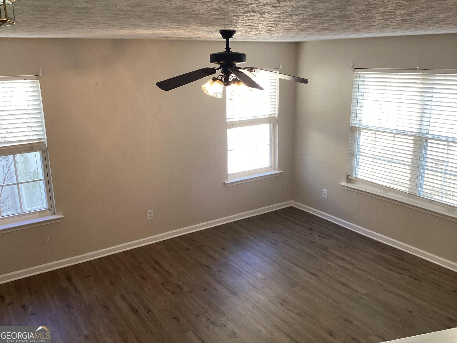 127 Swanee Lane Woodstock - Photo 15