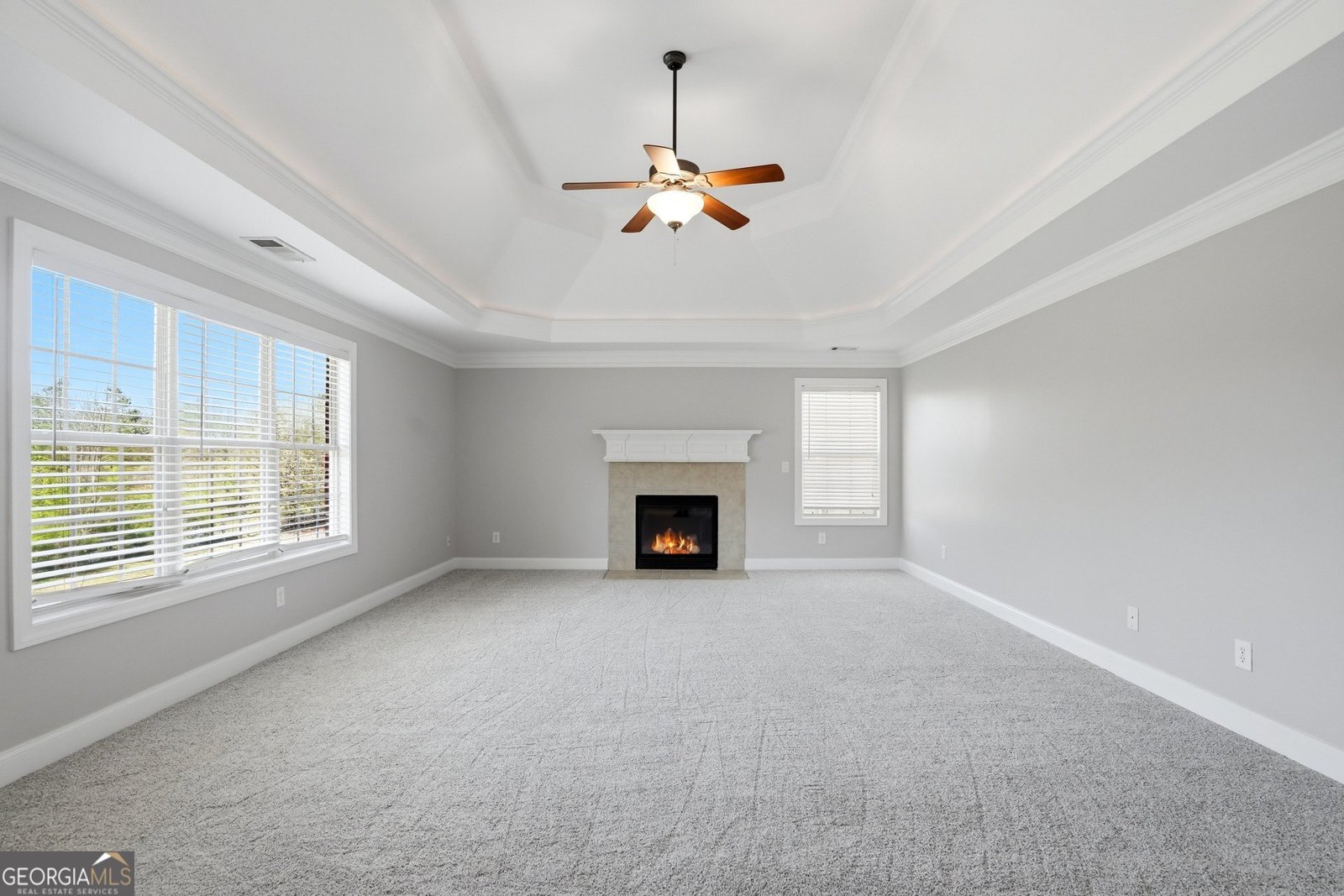 328 Thistlewood Run Mcdonough - Photo 12