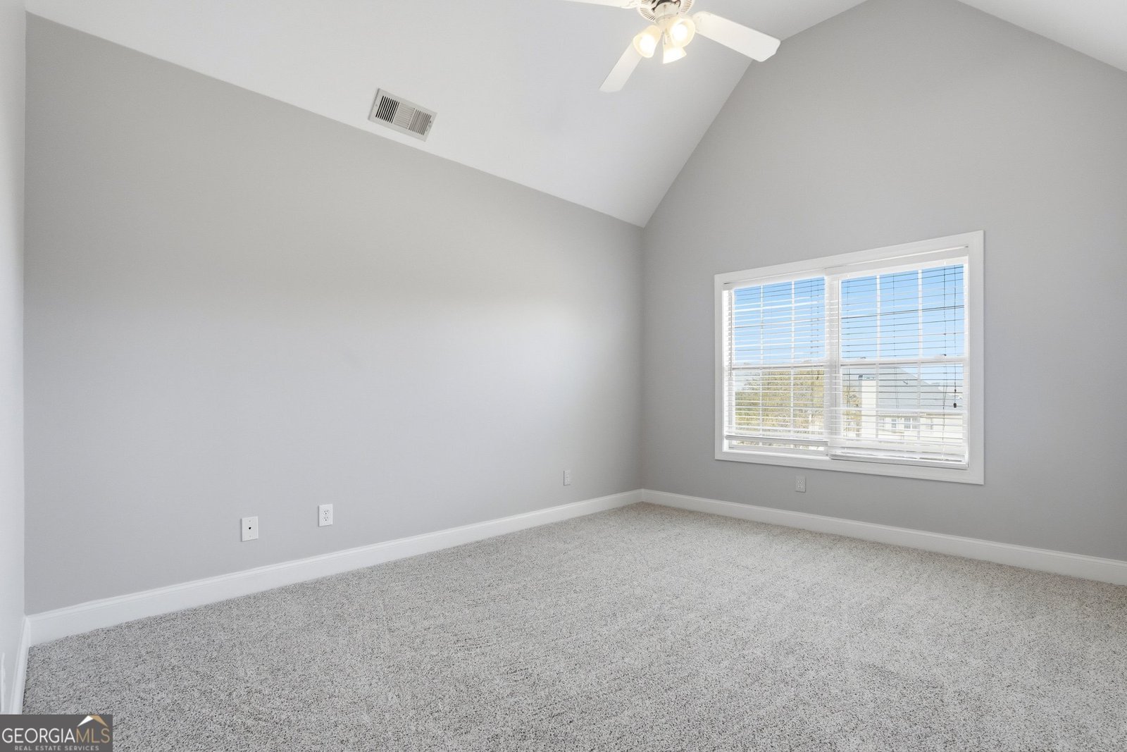 328 Thistlewood Run Mcdonough - Photo 19