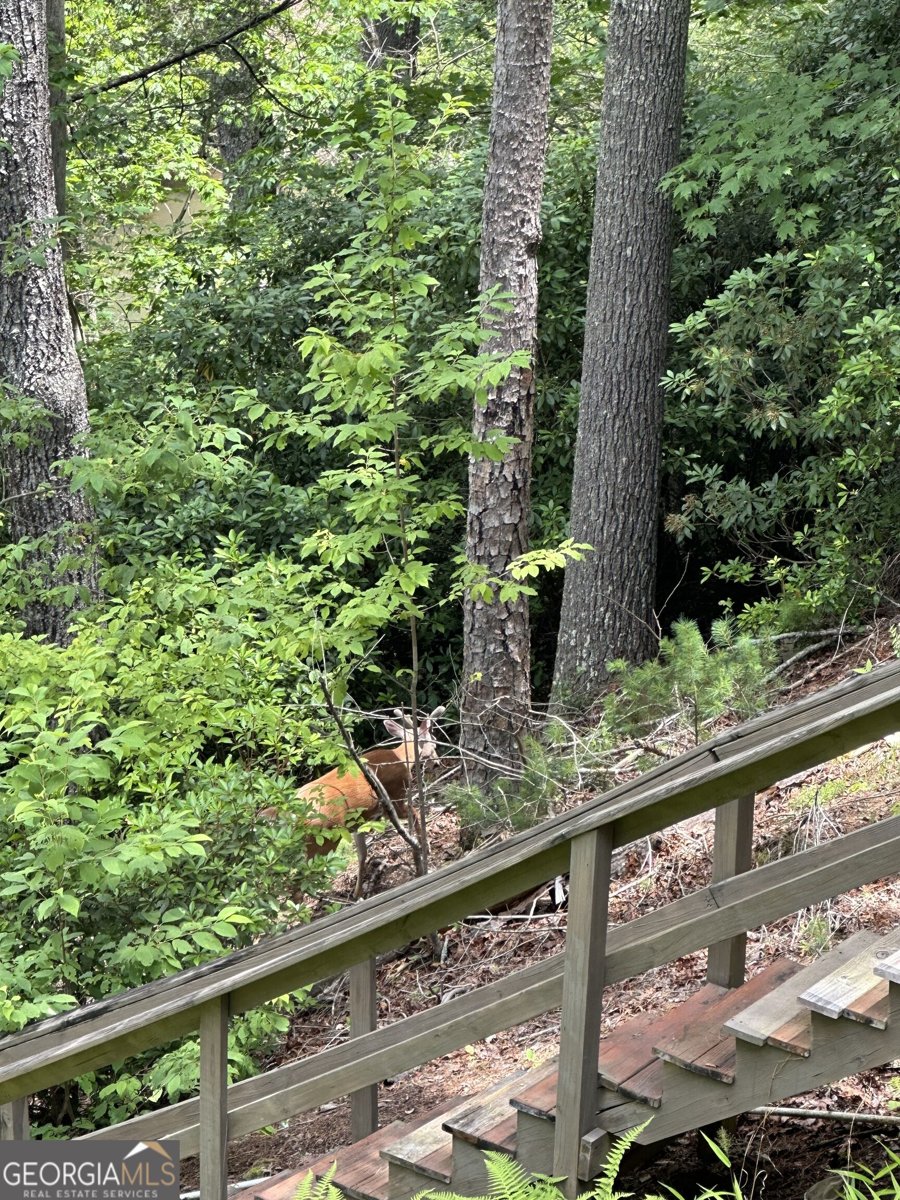 858 River Forest Run Cleveland - Photo 42