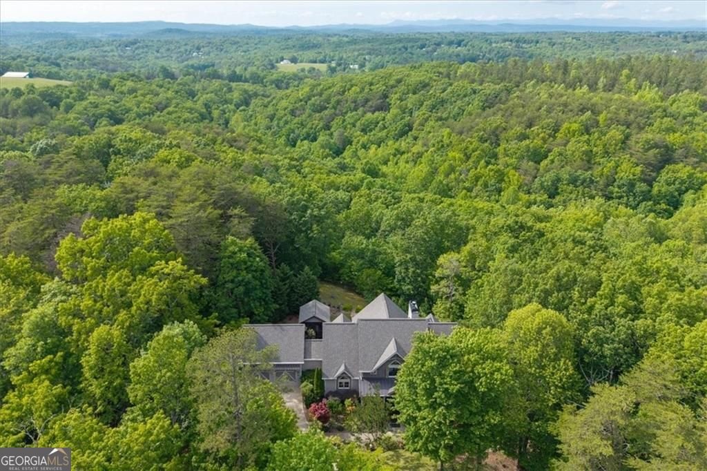 270 Mosswood Lane Jasper - Photo 63