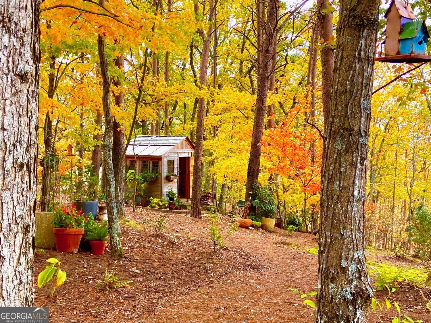 270 Mosswood Lane Jasper - Photo 73