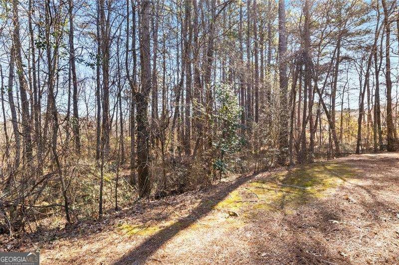 849 Hillandale Lane Lithonia - Photo 28