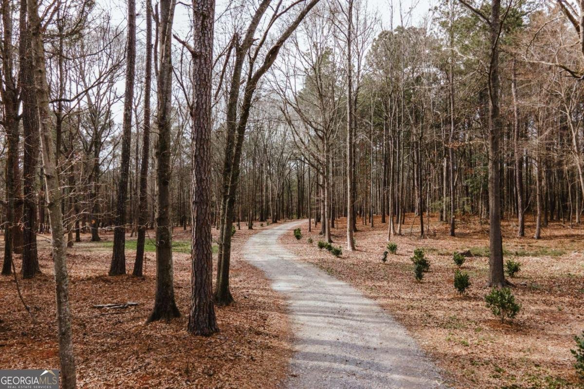 2990 Flat Rock Road Watkinsville - Photo 75