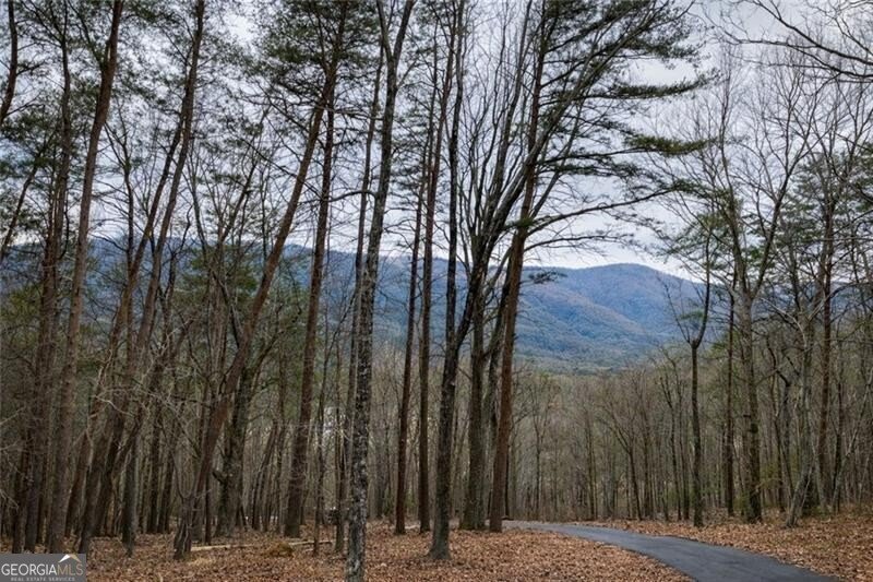 509 Valley Road Rydal - Photo 20