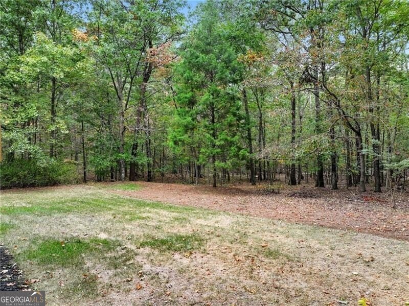 509 Valley Road Rydal - Photo 26