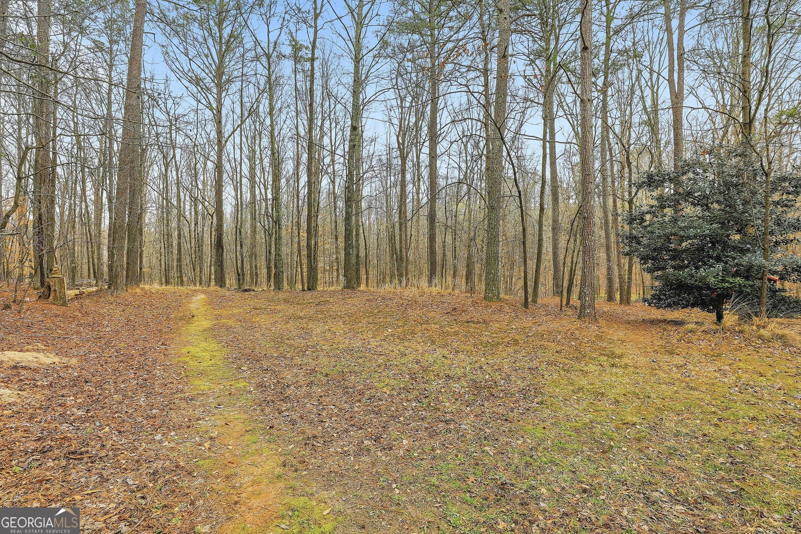 130 Emerald Lane Fayetteville - Photo 70