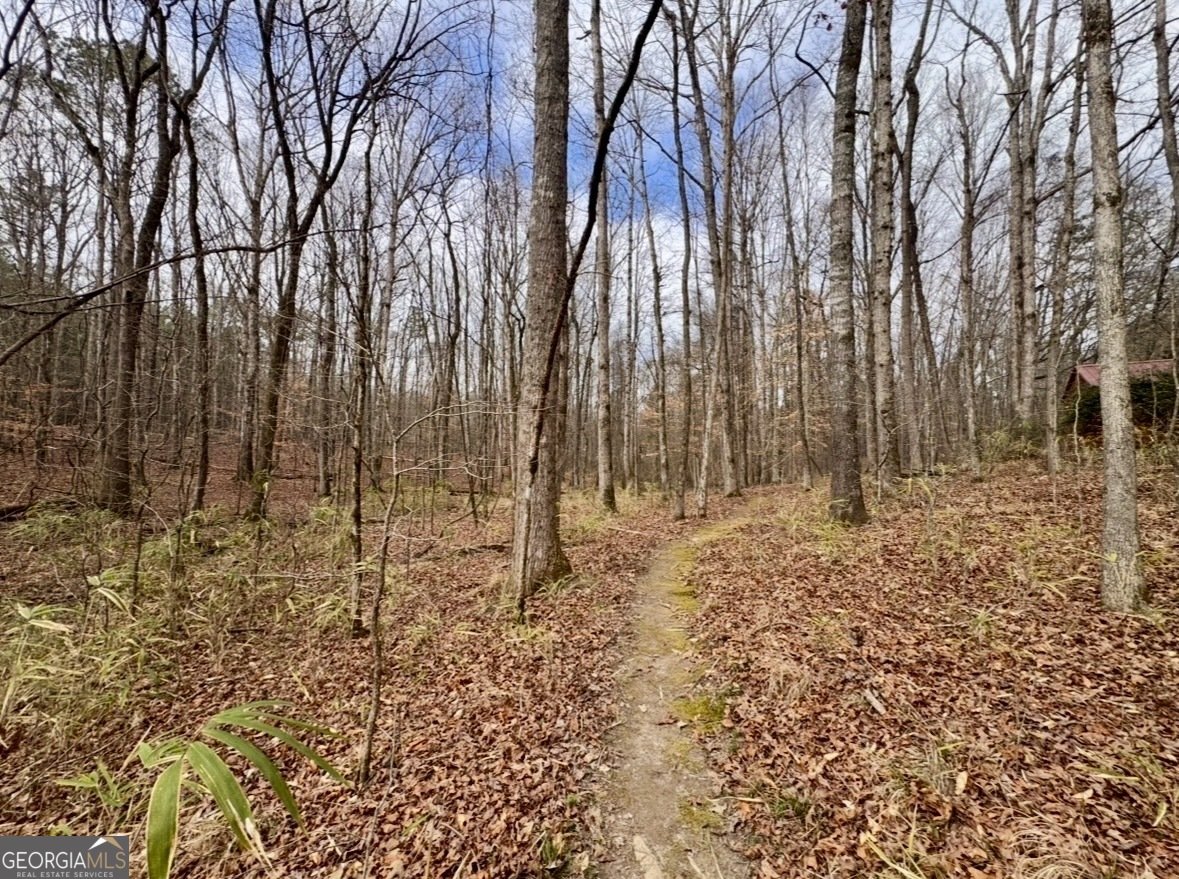 130 Emerald Lane Fayetteville - Photo 73
