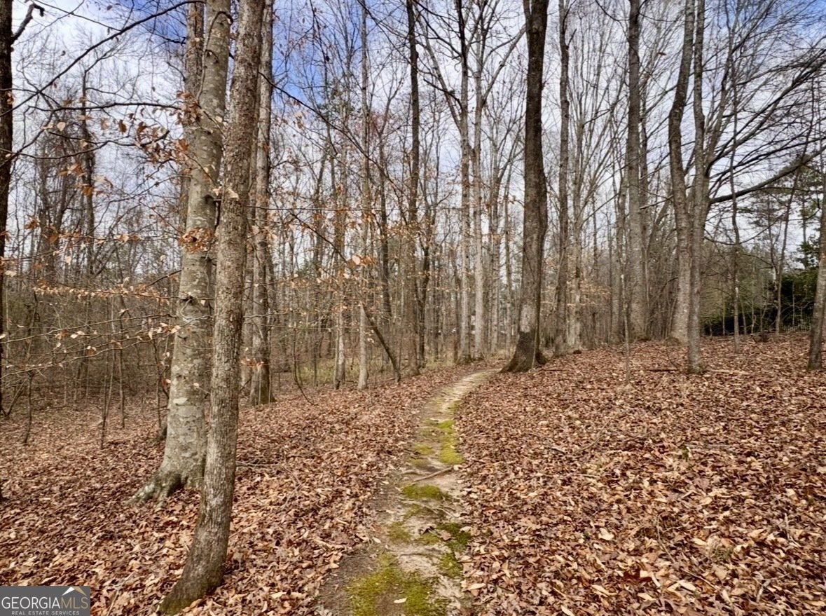 130 Emerald Lane Fayetteville - Photo 74