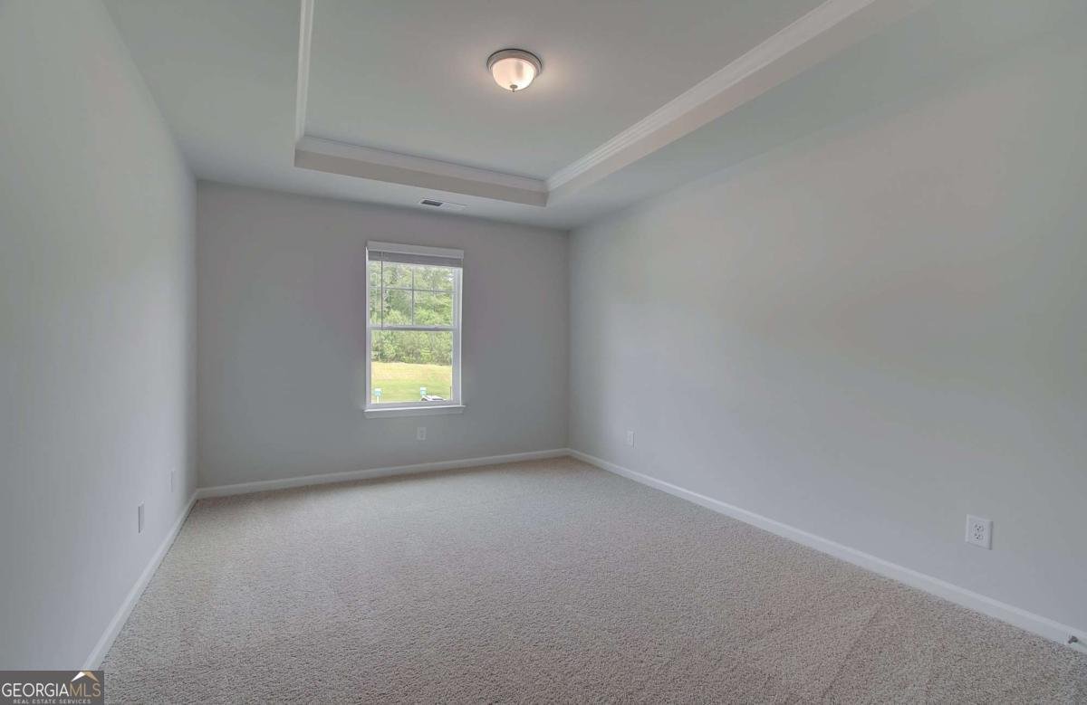 221 Ruthe Cove Locust Grove - Photo 23